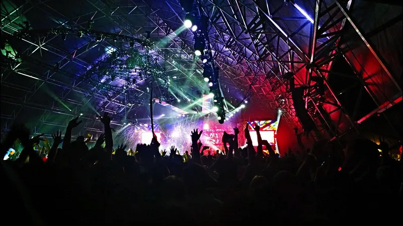 Audience, band, concert, celebration