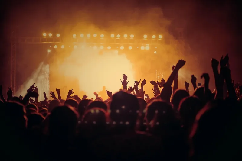 Concert, live, audience, people