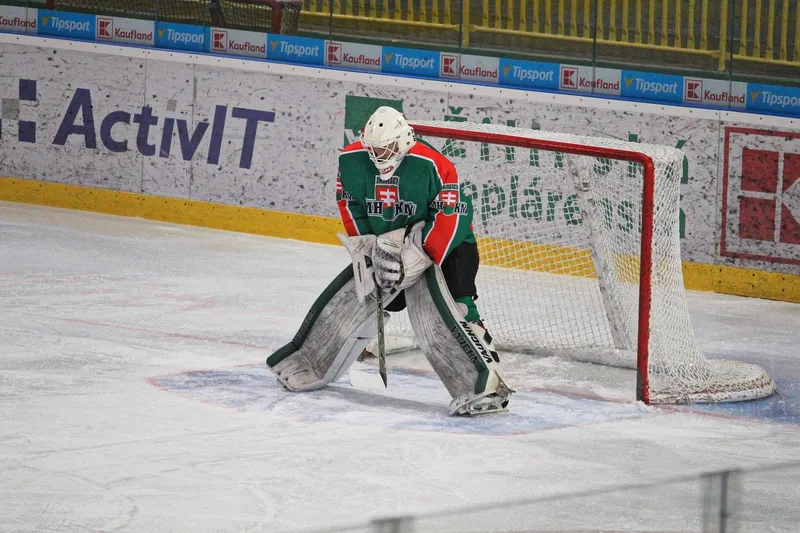 Hockey, goalkeeper, mshkm skalica, sports