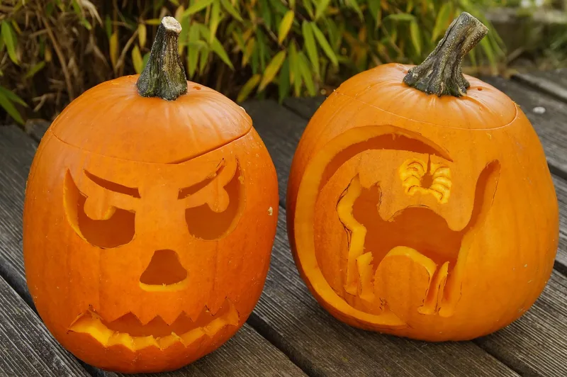 Pumpkin, halloween, fall, orange