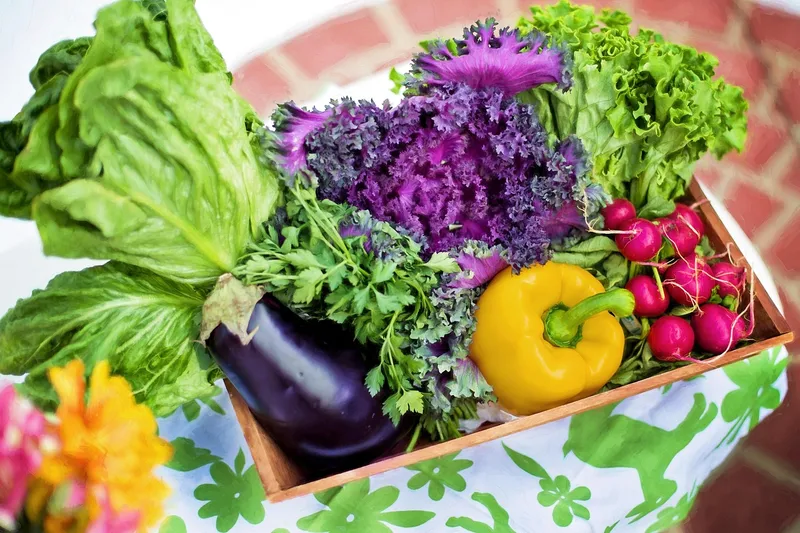 Vegetables, garden, harvest, organic