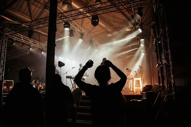 Concert, festival, crowd, people