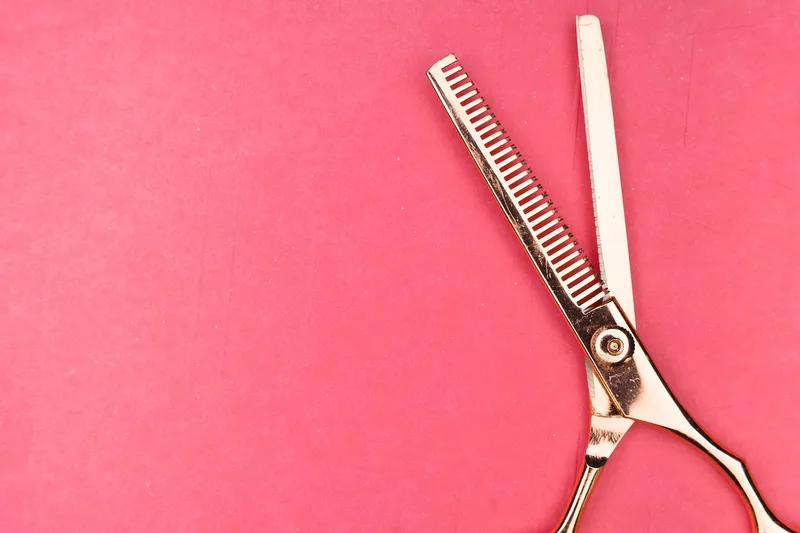 Scissors, section, hair, hairstyle