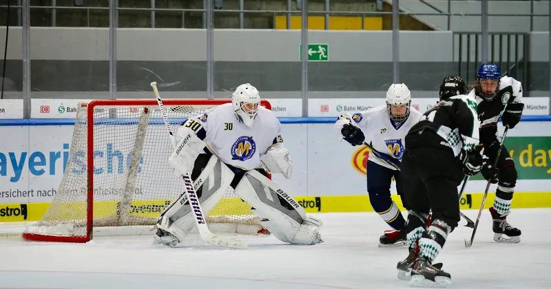 Ice hockey, sports, team, puck