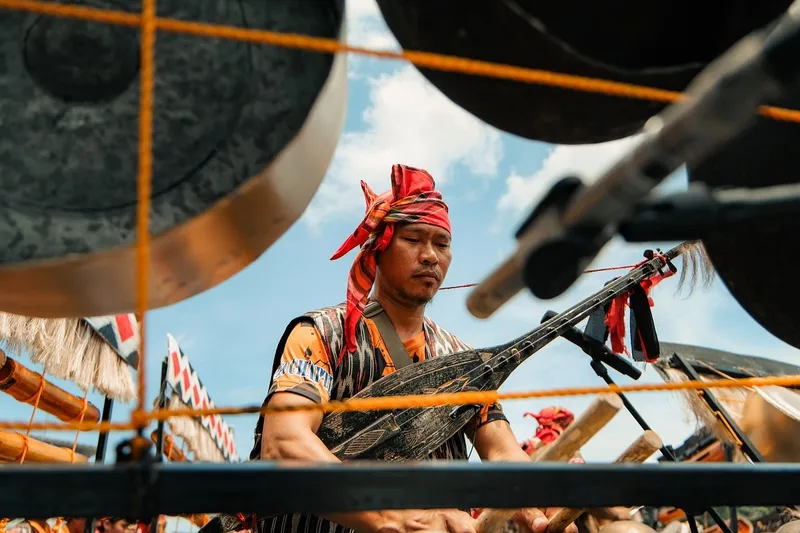 Musician, traditional clothing, nature, cultural festival